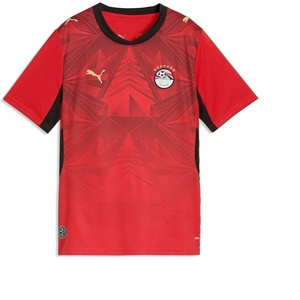 PUMA Junior Egypt FA Home Jersey Replica(Puma Red-intense Red)