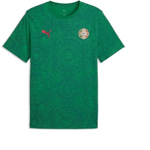 PUMA Mens Fanpack Mexico Graphic Crew Neck Short Sleeve Athletic Casual Tops Casual – Green(Archive Green-puma Red)
