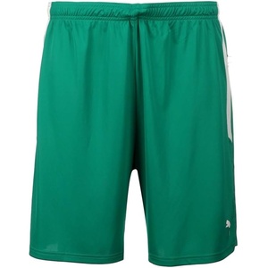 PUMA Mens Teamliga Shorts Casual Bottoms Casual Drawstring(Pepper Green-puma White)