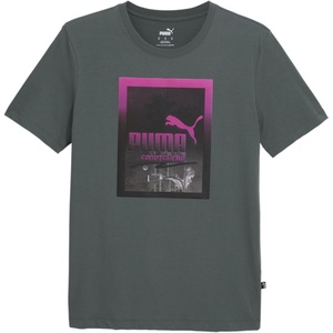 PUMA Mens Village Wear Graphic Crew Neck Short Sleeve Casual Tops Casual(Mineral Grey)