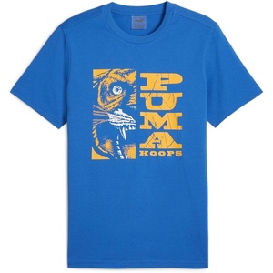PUMA Mens Village Wear Graphic Crew Neck Short Sleeve Casual Tops Casual(Racing Blue)
