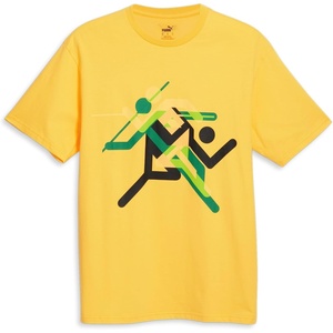 PUMA Mens Village Wear Graphic Crew Neck Short Sleeve Casual Tops Casual(Starlight-highlands)