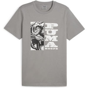 PUMA Mens Village Wear Graphic Crew Neck Short Sleeve Casual Tops Casual(Stormy Slate)