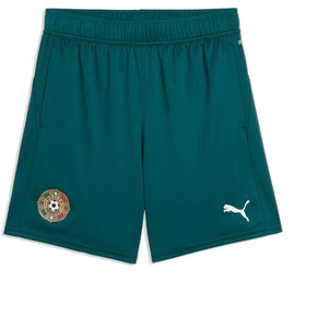 Puma Boys Fanpack Training Shorts(Varsity Green)