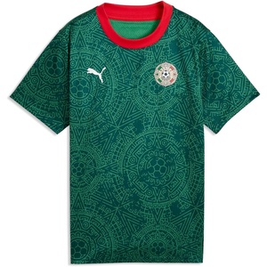 Puma Junior Fanpack Jersey(Varsity Green-puma White)