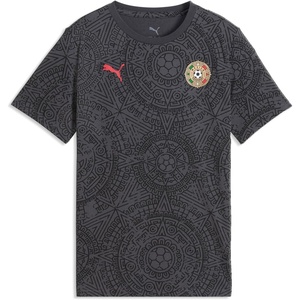 Puma Junior Fanpack T-Shirt(Puma Black-puma Red)