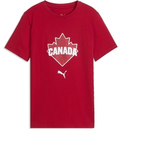Puma Junior Passion Pack T-Shirt(Dark Crimson-puma Red)