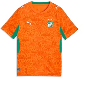 Puma Kids’ Kenya Ivory Coast Home Jersey Replica(Rickie Orange-sport Green)