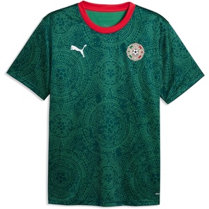 Puma Mens Fanpack Jersey(Varsity Green-puma White)