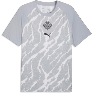 Puma Men’s Iceland FA Warm Up Jersey(Cool Mid Gray-puma Black)