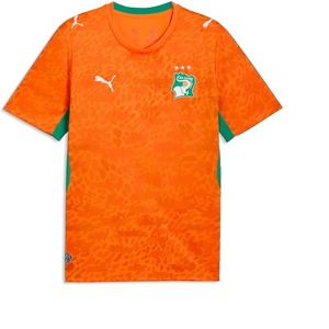 Puma Men’s Kenya Ivory Coast Home Jersey Replica(Rickie Orange-sport Green)