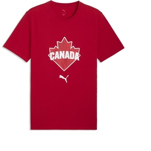Puma Mens Passion Pack T-Shirt(Dark Crimson-puma Red)
