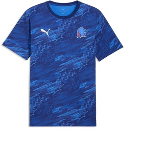 Puma Mens Passion Pack T-Shirt(Elektro Blue-bluemazing)