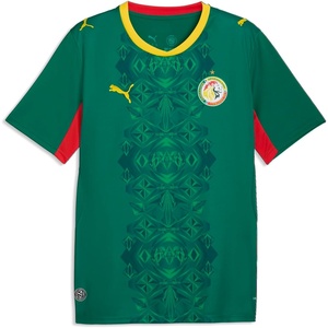 Puma Men’s Senegal FA Away Jersey Replica(Wild Green-puma Red)