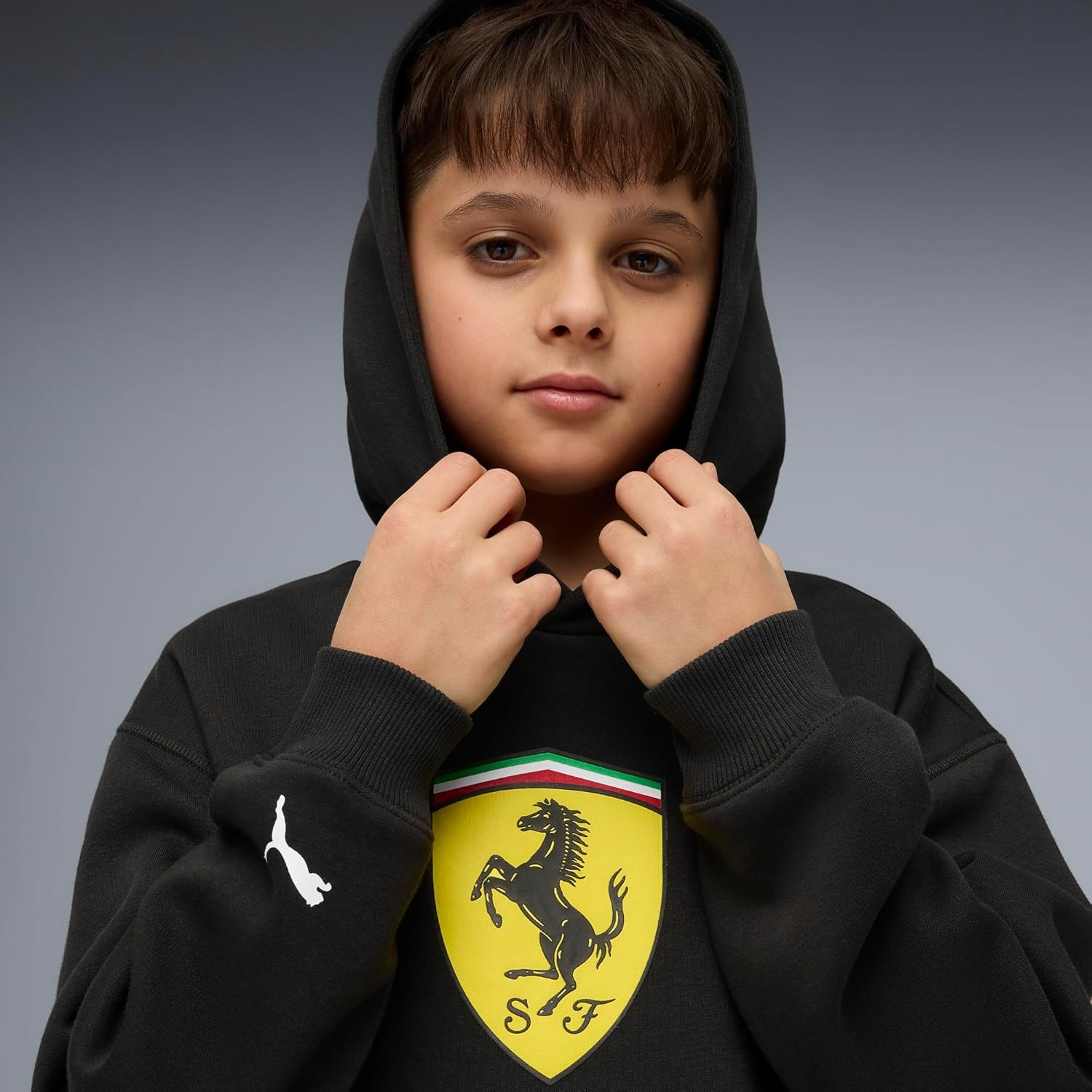 image:imagePUMA Kids Boys Scuderia Ferrari Shield Hoodie Casual Outerwear Casual BlackPuma Black