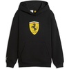 Puma Black