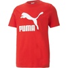 Logo/High Risk Red