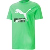 Summer Green