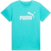 Aquatic Heather - Logo Ss25